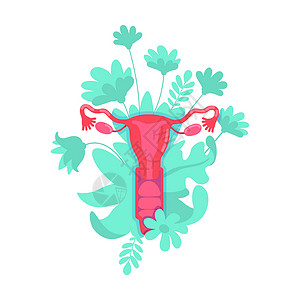 子宫切除手术女性生殖系统平面概念向量它制作图案设计图片