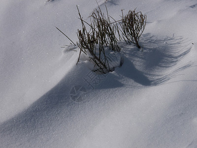 月经季节寒冬天气冰霜背景图片
