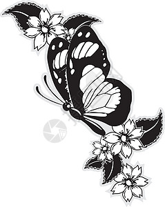 蝴蝶繁荣翅膀植物花瓣花朵动物叶子昆虫背景图片