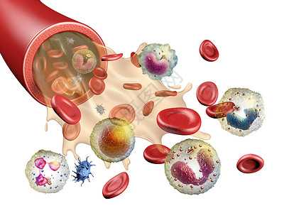 血血成分嗜酸性粒细胞高清图片