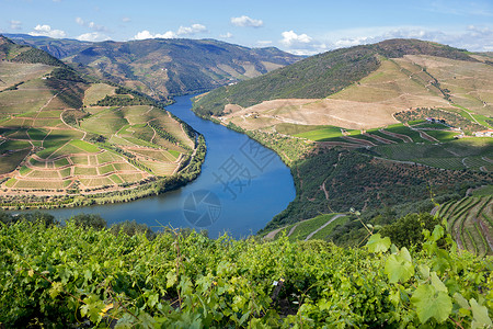 瓦豪河谷葡萄酒地区高清图片