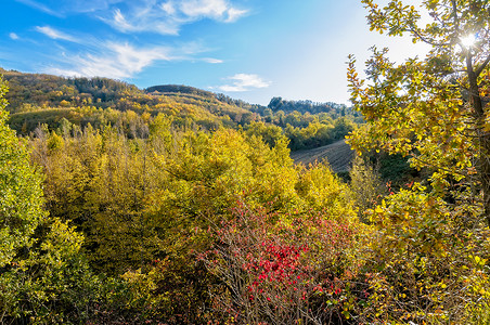 蒙特费尔特罗意大利的秋叶树爬坡天空国家水平晴天农村风景土地蓝色背景
