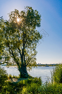 太阳高光特效基辅Dnieper河的景象太阳背光阳光建筑反射风景海浪星星季节旅行背景