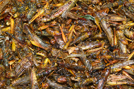 蚁后曼谷的炒虫营养漏洞市场蟋蟀情调竹虫刺槐小吃文化异国背景
