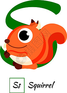 英文动物字母 S 在向量 styl幼儿园教育微笑艺术插图松鼠学校孩子们乐趣公司背景图片