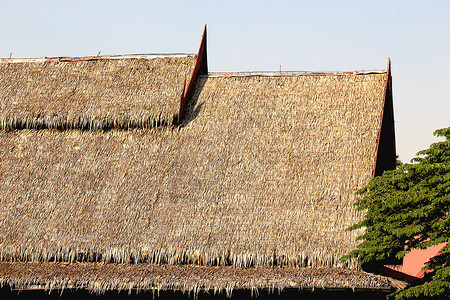 茅草屋顶泰式香根草高清图片