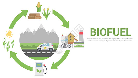纤维素生物燃料生命周期力量车辆木头气体图表转换活力标识环境工厂插画