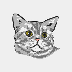国内的猫国内猫写实矢量素描插画 ca 的标志眼睛尾巴插图草图艺术宠物标识哺乳动物小猫食肉插画