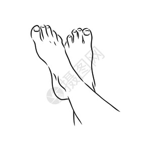 手脚发麻人类女人赤脚画线 矢量图素描标识姿势女孩男性皮肤草图艺术脚趾黑色女性设计图片