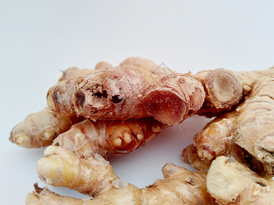 白色背景的苦姜 苦姜也称为 awapuhi lempuyang 和 在各种菜系食品中用作食品调味剂和开胃剂花园树叶美丽花瓣根茎植背景图片