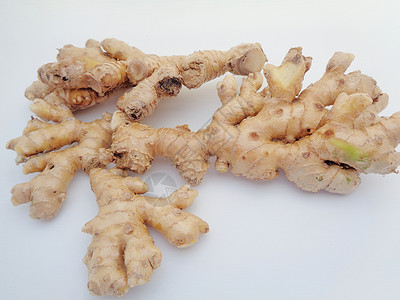 白色背景的苦姜 苦姜也称为 awapuhi lempuyang 和 在各种菜系食品中用作食品调味剂和开胃剂食物美丽叶子花园植物群背景图片
