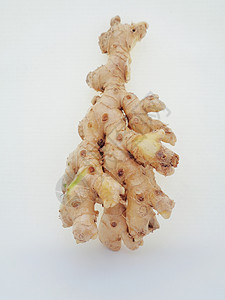 白色背景的苦姜 苦姜也称为 awapuhi lempuyang 和 在各种菜系食品中用作食品调味剂和开胃剂植物学植物叶子锥体丛林背景图片