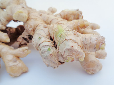 白色背景的苦姜 苦姜也称为 awapuhi lempuyang 和 在各种菜系食品中用作食品调味剂和开胃剂松树植物公园花园食物根背景图片