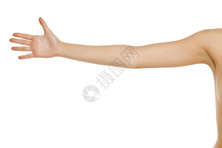 白色的全女性手臂肩膀女士棕榈皮肤身体女孩背景图片