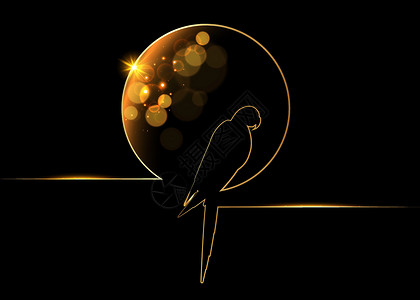 鹦鹉鸟金线艺术连续豪华金线画圆明亮闪亮的金刚鹦鹉鸟标志创意矢量隔离在黑色背景上背景图片