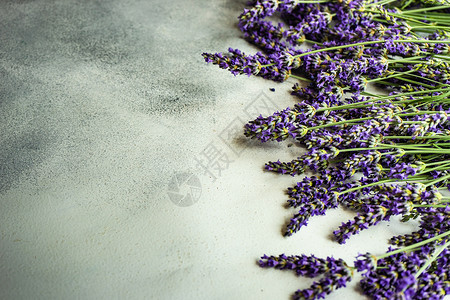 架子上新鲜的花丛花朵紫色卡片花束香味植物群框架薰衣草氛围植物背景图片