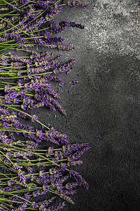 架子上新鲜的花丛花朵卡片氛围框架紫色植物薰衣草植物群香味花束背景图片