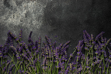 架子上新鲜的花丛花朵植物群框架花束紫色香味薰衣草植物氛围卡片背景图片