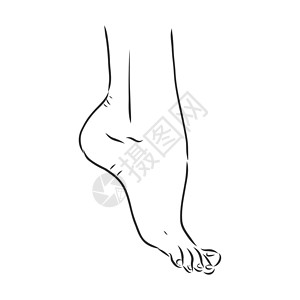 赤脚女人人类女人赤脚画线 矢量图素描身体指甲标识手指男性姿势女士女性草图插图设计图片