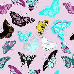 无缝蝴蝶图案现实蝴蝶的无缝模式 它制作图案矢量图打印热带装饰品昆虫纺织品墙纸织物丛林翅膀橙子插画