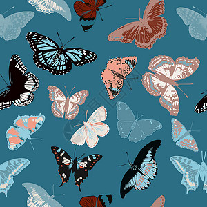 无缝蝴蝶图案复古的纺织品高清图片