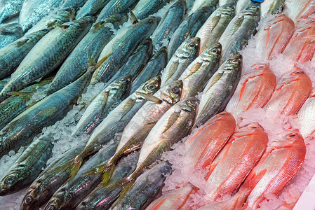 出售新鲜鱼钓鱼销售渔业海洋市场皇帝营养海鲜鳕鱼食物高清图片