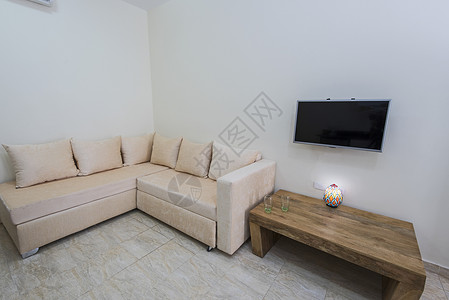 豪华公寓客厅室内设计设计地面长椅装饰品房子软垫住宅沙发电视休息室房间背景图片