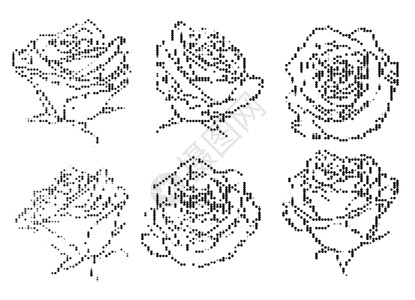 黑白半色调装饰玫瑰插画褪色装饰品树叶邮票艺术绘画艺术品花瓣黑色白色背景图片