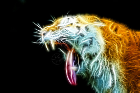 张开嘴的老虎头背景图片