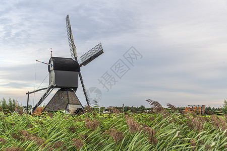 强风吹过野草栅栏之上的荷兰风车历史反射绿色乡村蓝色力量堤防地标日落小孩背景图片