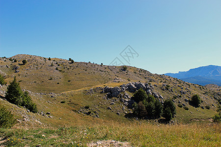 波斯尼亚语山区山丘 喀斯特山丘 草地和树木 波斯尼亚和黑塞哥维那Bjelasnica山背景