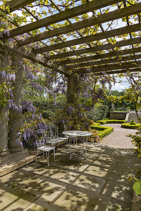 水彩紫藤紫藤紫花覆盖的宁静花园 在春天的散列日光影下偷桌椅背景