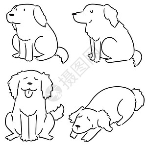 宠物装饰一套 doggolden 检索吉祥物素描涂鸦卡通片草图插图收藏风格线条艺术设计图片