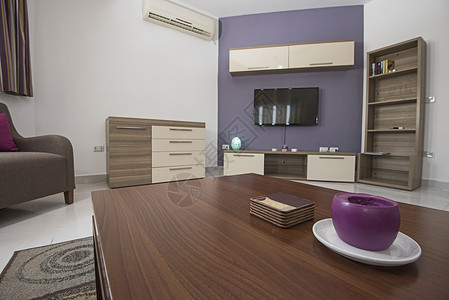 豪华公寓客厅室内设计设计休息室装饰紫色小地毯房子椅子扶手椅风格地面家具背景图片