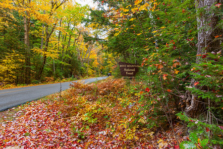 伯特利横跨新英格兰多彩森林的道路 在秋天旅游落叶国家风景叶子形象橙子枫树土地农村背景
