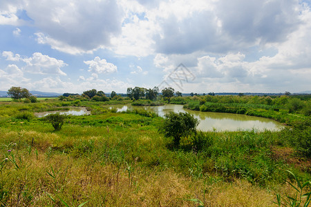 En Afek 湿地海法水池绿色反射天空旅行环境池塘电话蓝色背景