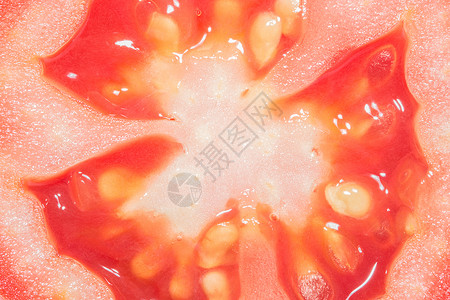 宏背景 番茄背景图片