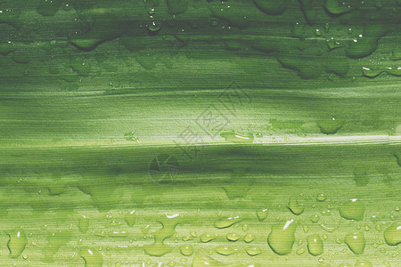 暗叶本背景绿色树叶热带背景图片