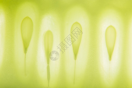 宏观背景 黄瓜种子模式健康食物绿色背景图片