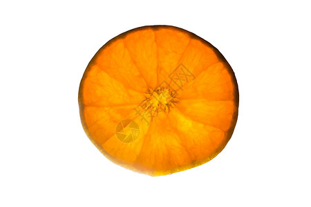 橙色水果本底白白色背景图片