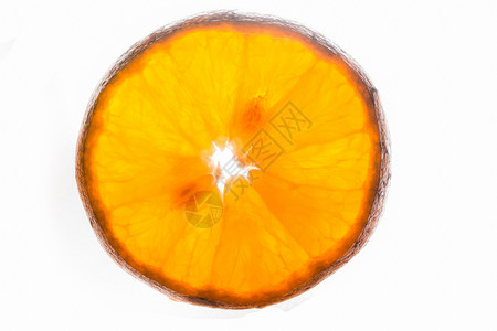 橙色水果本底白白色背景图片