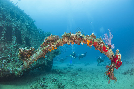 热带海中的水下沉船高清图片