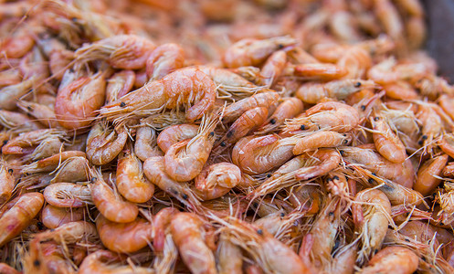 虾 煮熟的虾 一堆小虾油炸盘子餐厅午餐香料海鲜动物平底锅厨房小龙虾背景图片