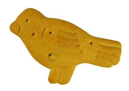动物形状饼干     鸟类背景图片