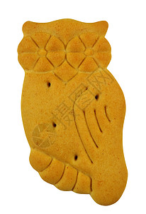 动物形状饼干     猫头鹰背景图片