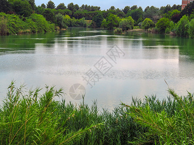 里米尼Rimini  公共公园中的池塘绿色民众放松背景
