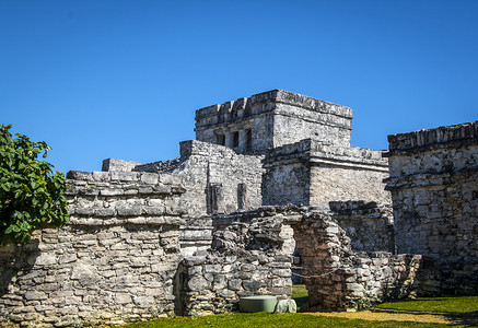 里维埃拉玛雅墨西哥的图鲁姆玛雅废墟背景