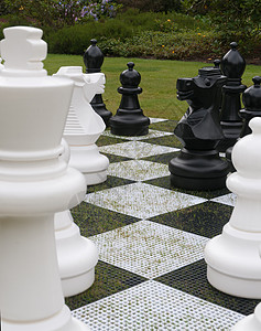 巨巨象棋集背景图片
