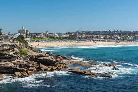麦肯齐Bondi海滩 前面有在悉尼澳洲背景