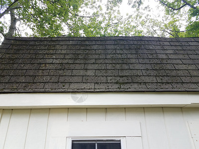 白色储藏棚屋顶屋顶的苔植物学生长建筑植物群苔藓植物高清图片
